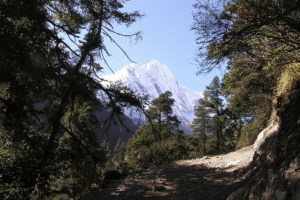 Why Manaslu Larke Pass Is Nepal’s Best Alternative to Everest Base Camp