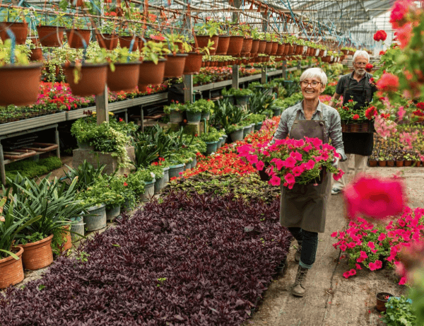 Logistics and Shipping Considerations When Sourcing from a Wholesale Plant Nursery